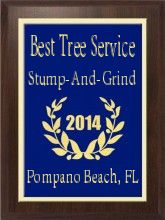 #1 Tree Service In Pompano Beach 2014